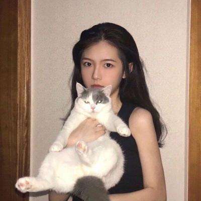 暗夜圣徒官方版下载